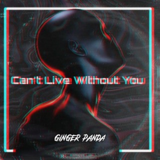 Can't Live Without You lyrics | Boomplay Music