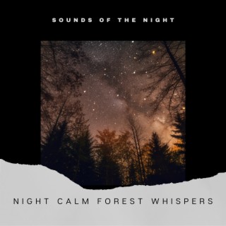 Night Calm: Forest Whispers