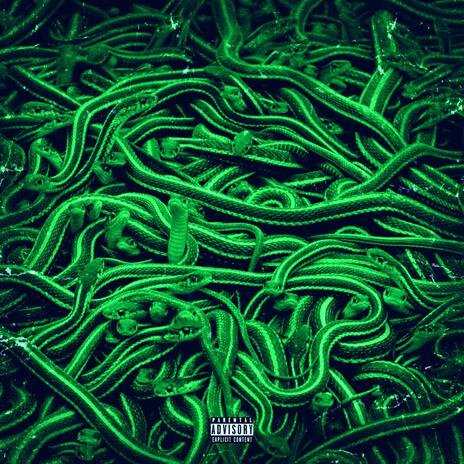 Snake Freestyle ft. ESSE T PROD | Boomplay Music