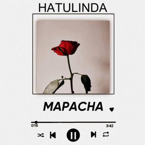 MAPACHA | Boomplay Music