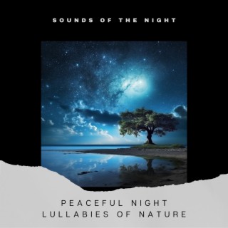 Peaceful Night: Lullabies of Nature