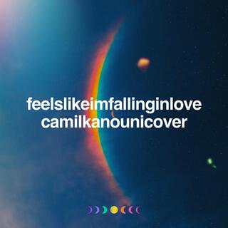 feelslikeimfallinginlove (Cover)