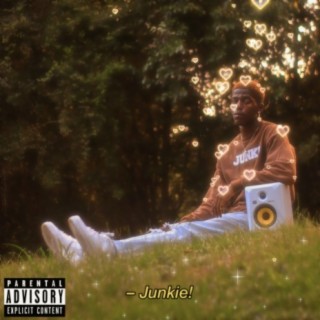 Junkie! ft. Stephoo lyrics | Boomplay Music