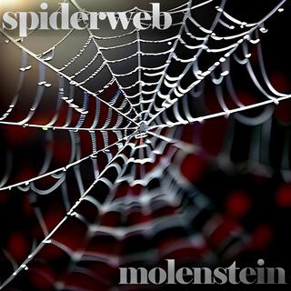 Spiderweb