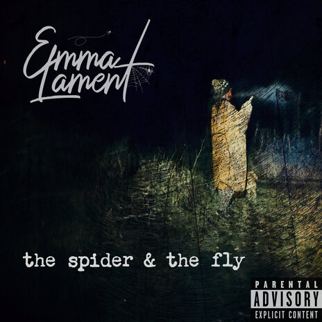 The Spider & the Fly