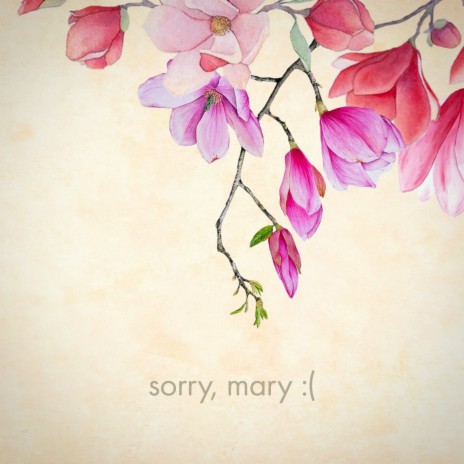 sorry, mary :((Instrumental) | Boomplay Music