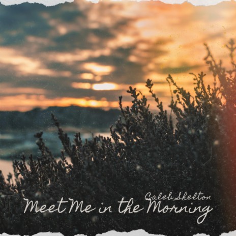 Meet Me In The Morning | Boomplay Music
