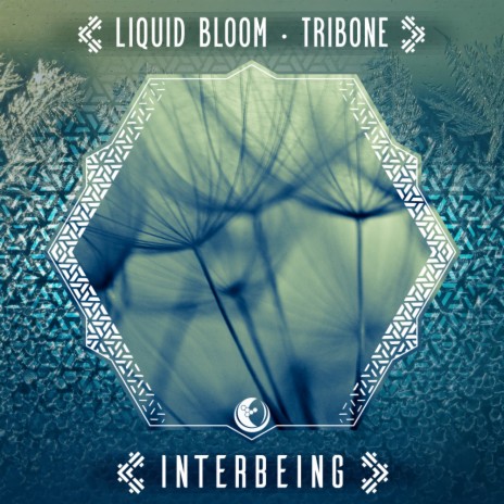 Interbeing (Original Mix) ft. TRIBONE