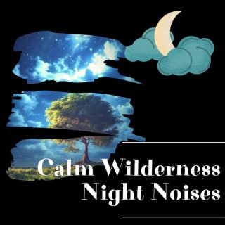 Calm Wilderness: Night Noises