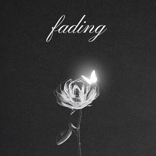 Fading lyrics | Boomplay Music