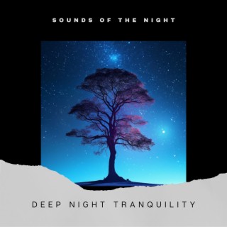 Deep Night Tranquility