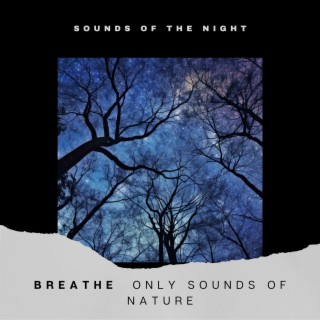 Breathe - Only Sounds of Nature