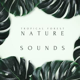 Tropical Forest - Nature Sounds