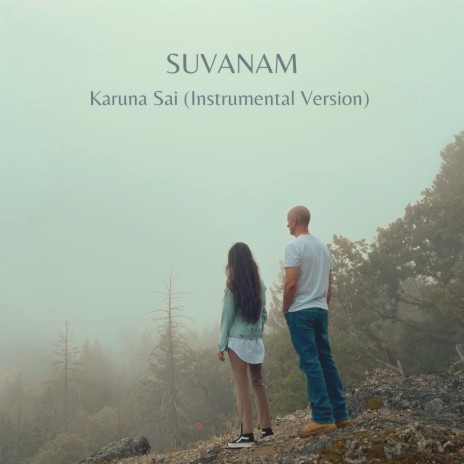 Karuna Sai (Instrumental Version) | Boomplay Music