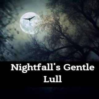 Nightfall's Gentle Lull
