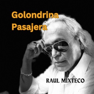 GOLONDRINA PASAJERA