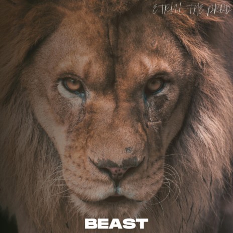 Beast | Boomplay Music