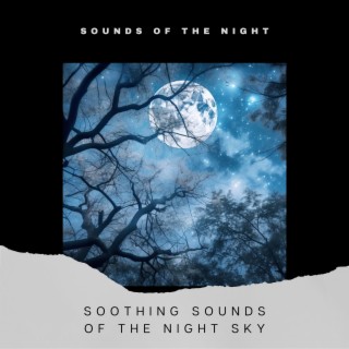 Soothing Sounds of the Night Sky