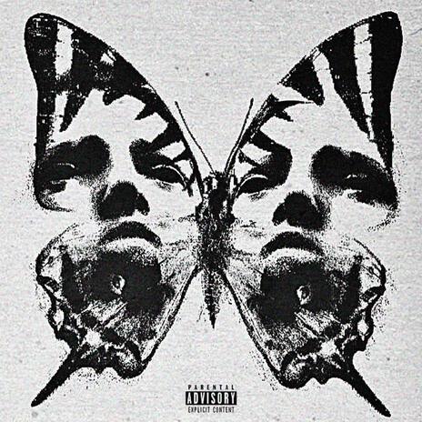 butterfly doors | Boomplay Music