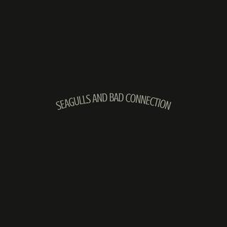 Seagulls and Bad Connection