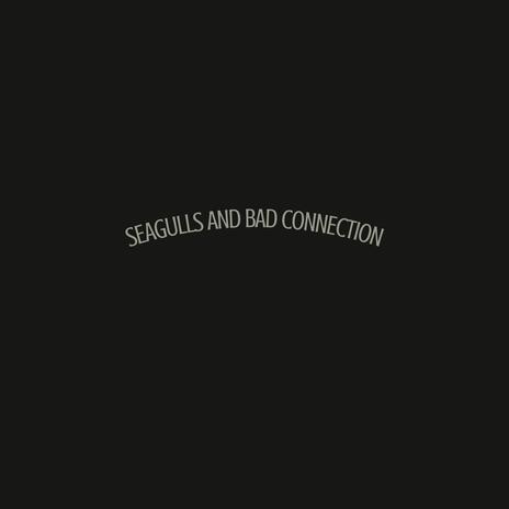 Seagulls and Bad Connection