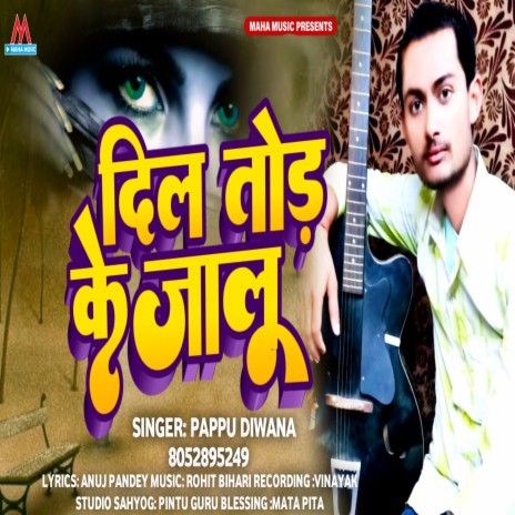 Dil Tod Ke Jalu | Boomplay Music