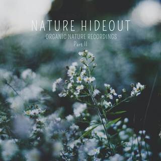 Nature Hideout Part II