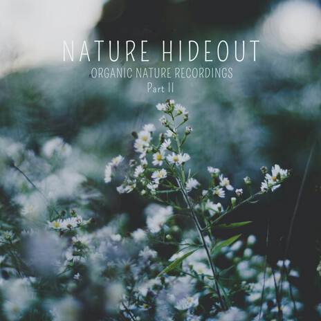 Nature Hideout Part II | Boomplay Music