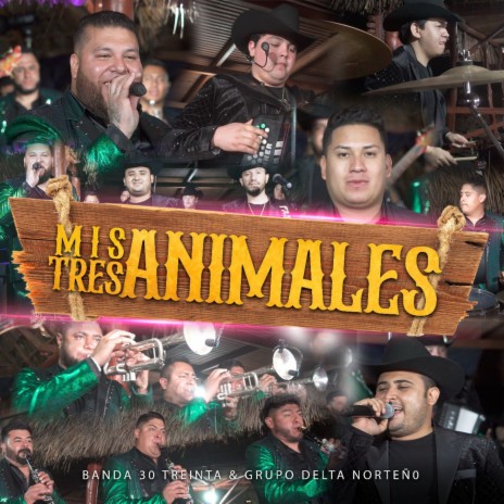 Mis Tres Animales (En Vivo) ft. Grupo Delta Norteño | Boomplay Music