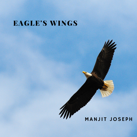 Eagle's Wings | Boomplay Music