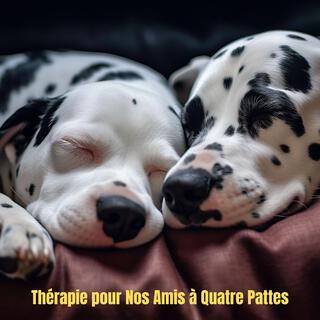 432 Hz - 528 Hz Contre le Stress Canin et pour un Sommeil Paisible (Thérapie pour Nos Amis à Quatre Pattes)