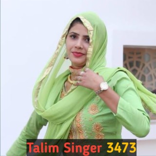 Talim Singer 3473