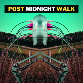 Post Midnight Walk (Single Version) lyrics | Boomplay Music