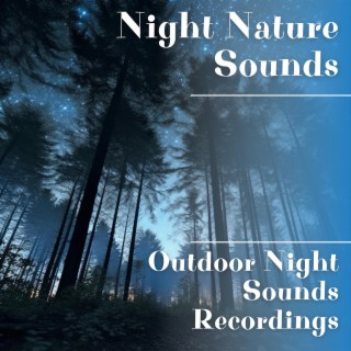 Outdoor Night Sounds Recordings