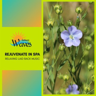 Rejuvenate in Spa - Relaxing Laid Back Music