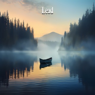 Lead