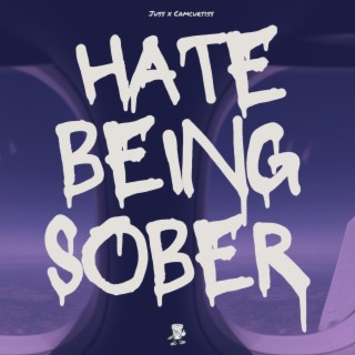 Hate Being Sober lyrics | Boomplay Music