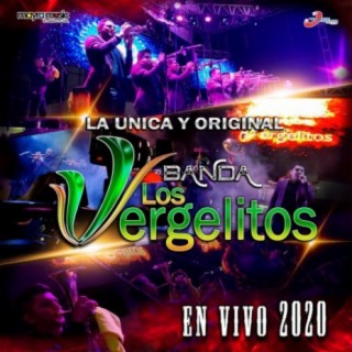 La Unica y Original Banda Vergelitos