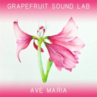 Grapefruit Sound Lab