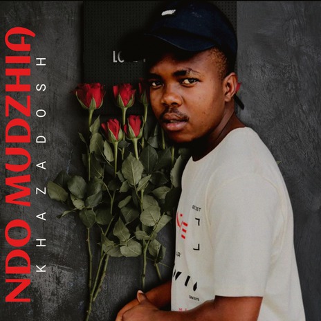 Ndo Mudzhia | Boomplay Music