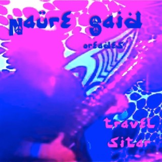 Travel Sitar