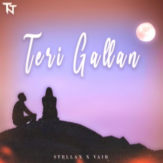 TERI GALLAN