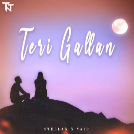TERI GALLAN ft. VAIB
