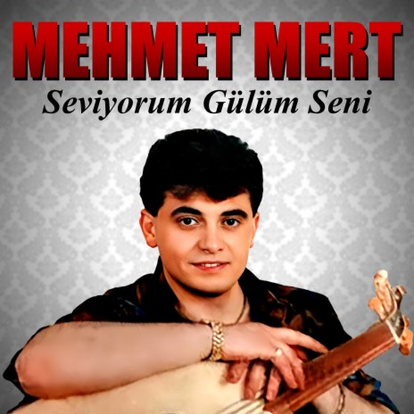 Seviyorum Gülüm Seni | Boomplay Music