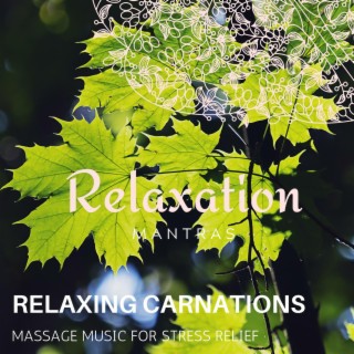 Relaxing Carnations - Massage Music for Stress Relief