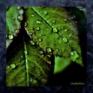 Chlorophyll