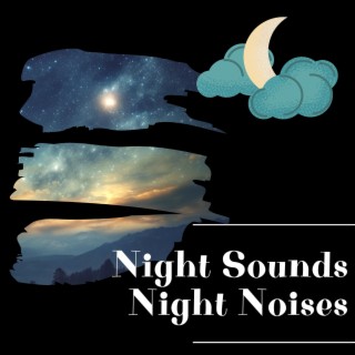 Night Sounds, Night Noises