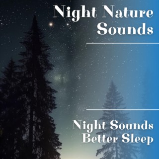 Night Sounds, Better Sleep