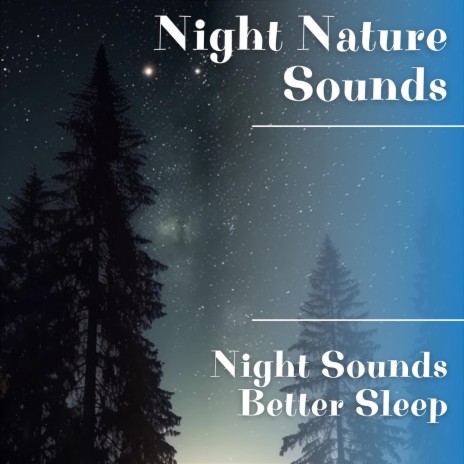 Night Sounds for Sleeping | Boomplay Music