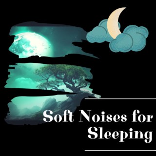 Night Sounds: Soft Noises for Sleeping